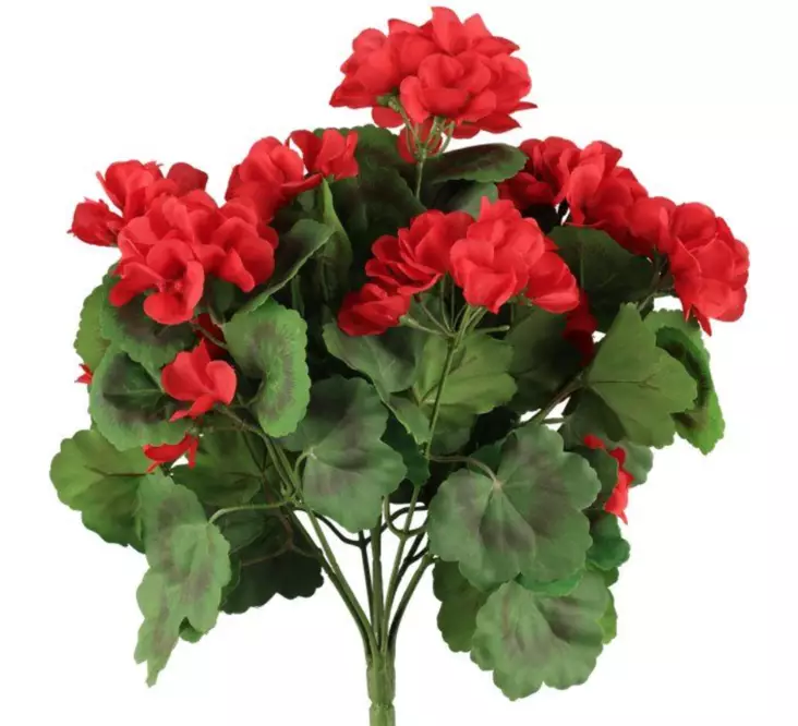 Pelargoni punainen 39 cm - Muuta kaunista - 6410416529875 - 1