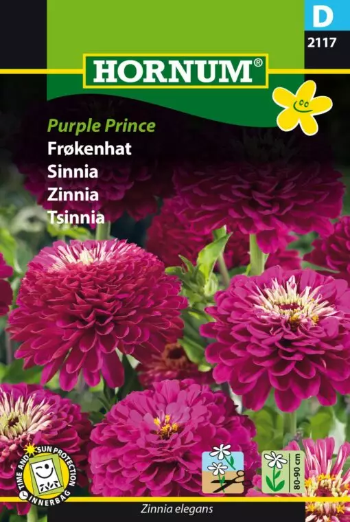 Tsinnia ´Purple Prince´ - Siemenet ja siemenperunat - 5708787021175 - 1