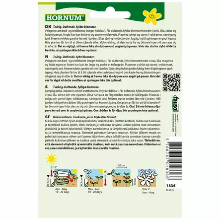 Harjaneilikka ´Hats On´ - Siemenet ja siemenperunat - 5708787018366 - 2