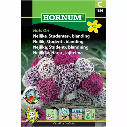 Harjaneilikka ´Hats On´ - Siemenet ja siemenperunat - 5708787018366 - 1