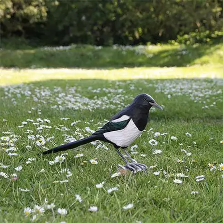 Wildlife Garden koristelintu Harakka - Luontoaiheiset tuotteet - WG4456 - 1