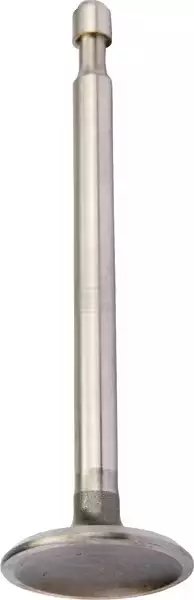 Imuventtiili B&S 590393 - Paikallismoottoreiden varaosat - 024847180626 - 1