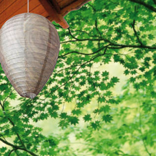 Ampiaiskarkotin valepesä - Muut karkotteet - 8714982067846 - 1