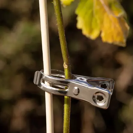 Kasvipidike teräs 12 kpl/pkt - Kasvien tuenta - 8714982209536 - 2