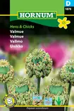 Unikko ´Hens & Chicks´ - Siemenet ja siemenperunat - 5708787018786 - 1