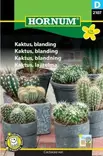 Kaktuslajitelma - Siemenet ja siemenperunat - 5708787021076 - 1