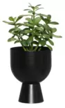Ruukku Nala 16 cm mattamusta - Ruukut, vaasit, korit - 6410416443836 - 2