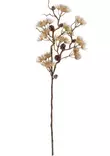 Mänty koristeoksa 71 cm - Askartelutarvikkeet - 6410416572956 - 1