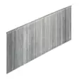 Uppokantanaula Senco 38x1,2 mm A2 rst - Ruuvit ja naulat - 8715274005706 - 1