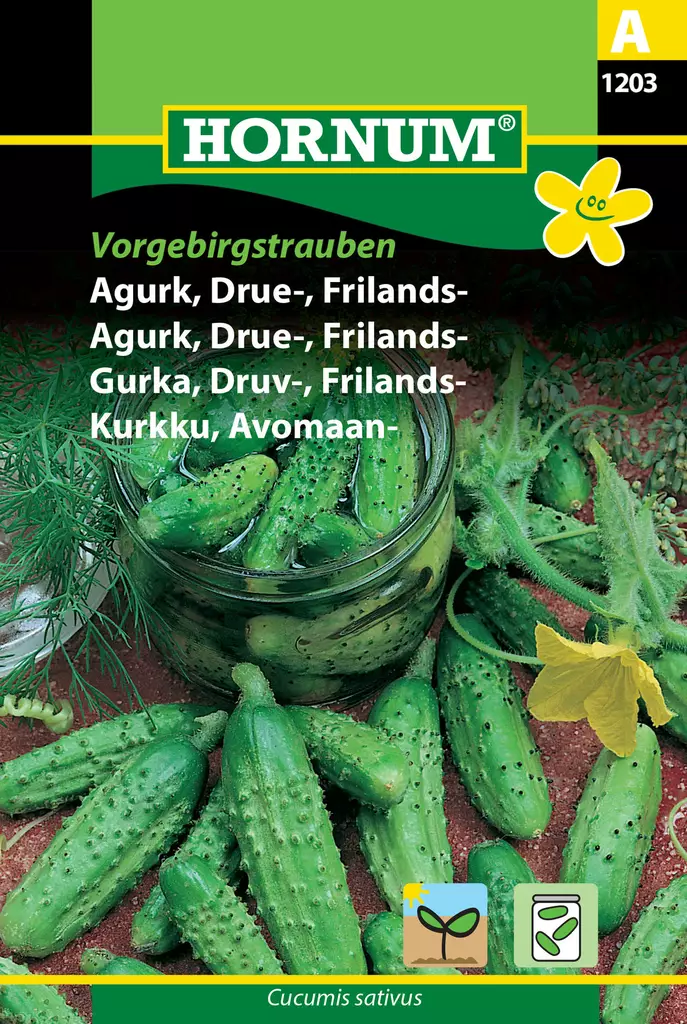 Avomaankurkku ´Vorgebirgstrauben´ - Siemenet ja siemenperunat - 5708787012036 - 1