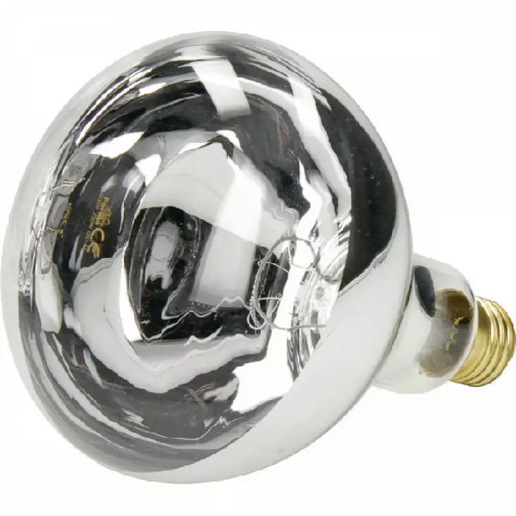 Farma lämpölamppu 230V 250W kirkas - Karjanhoitotarvikkeet - 8716106849956 - 1