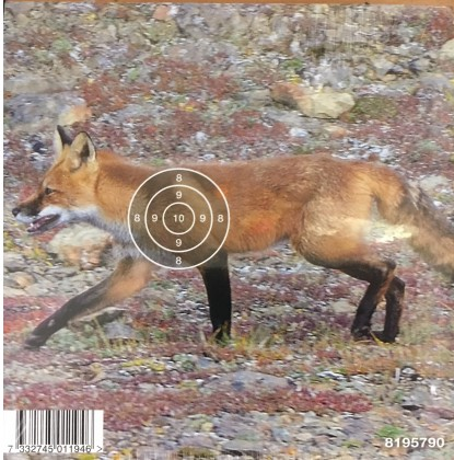 Ilmakivääritaulu Kettu 50kpl - Ase- ja ampumatarvikkeet - 7332745011946 - 1