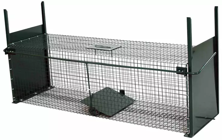 Kettuloukku laadukas - Pyyntiraudat ja loukut - 5700035696876 - 1