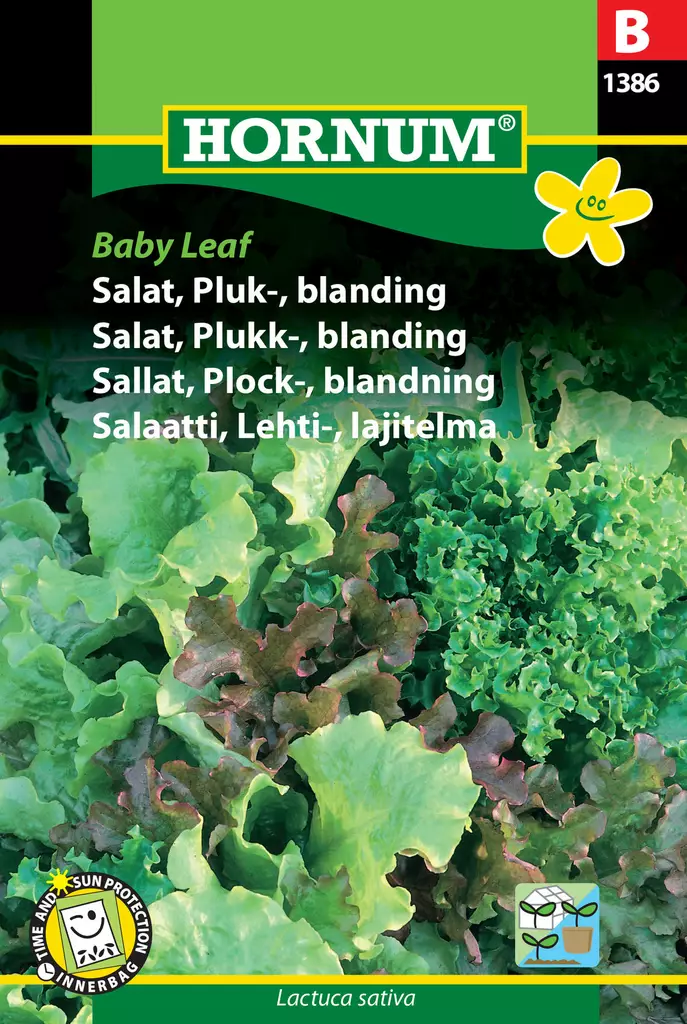Lehtisalaatti "Baby Leaf" 6 eri lajiketta - Siemenet ja siemenperunat - 5708787013866 - 1