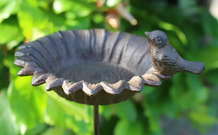 Lintuallas auringonkukka jalalla - Linnunkylpyastiat - 8714982103346 - 1