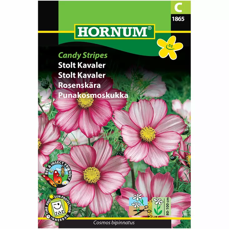 Punakosmoskukka ´Candy Stripes´ - Siemenet ja siemenperunat - 5708787018656 - 1