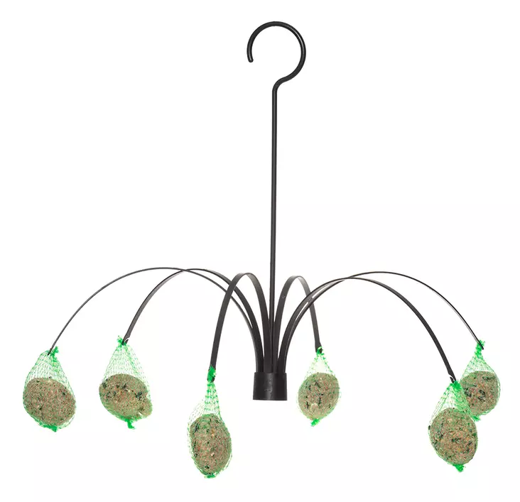 Tintti Talipallosyötin palmu - Lintulaudat ja -pöntöt - 6410413305656 - 1