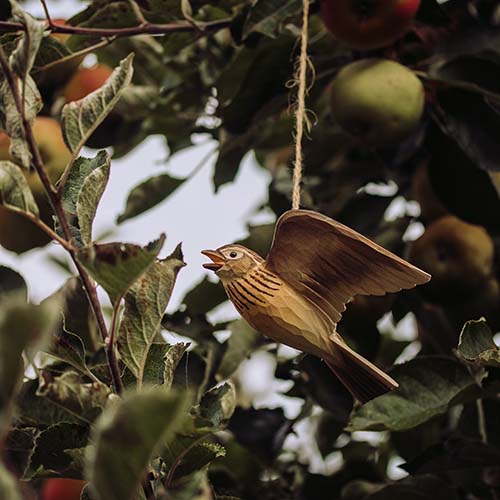 Wildlife Garden Kiuru lennossa - Luontoaiheiset tuotteet - WG4446 - 1