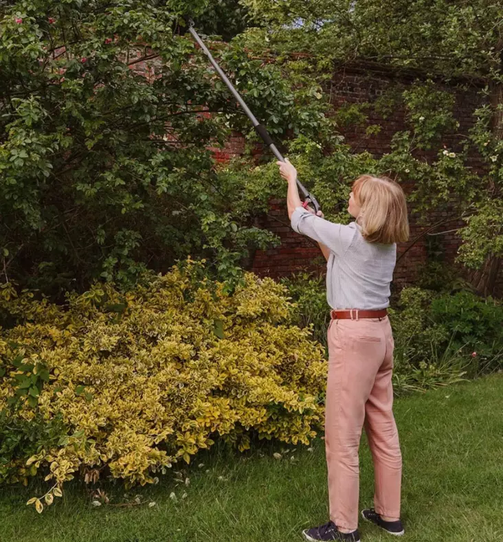 Kent & Stowe pitkävartiset monitoimisakset - Oksasakset ja sahat - 5060396799976 - 1