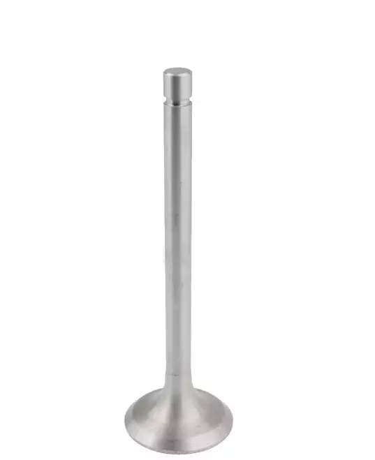 Imuventtiili, sopii Belarus - Moottori - 8719607143776 - 1