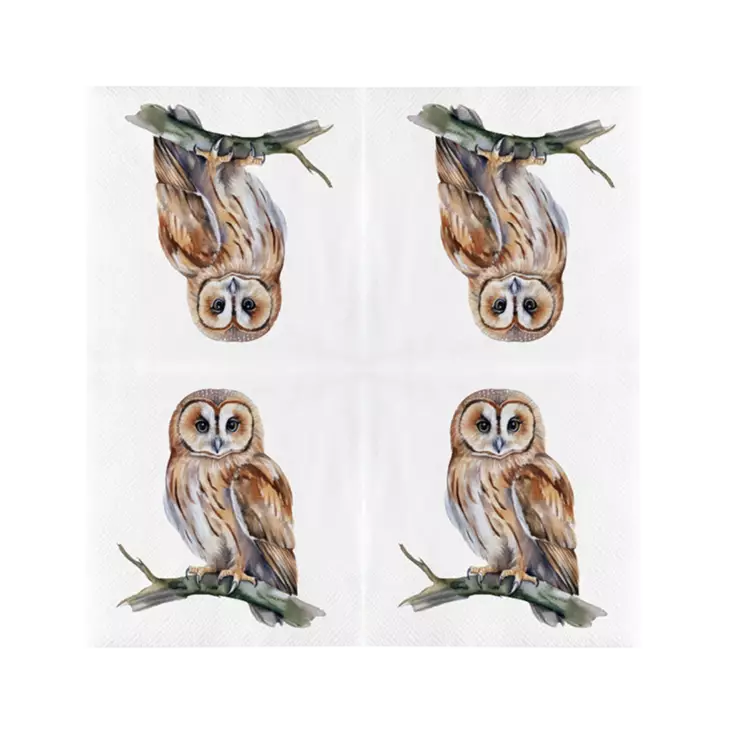 Pöllö servetit 20 kpl/pkt - Lintuaiheiset tuotteet - 8714982286476 - 1