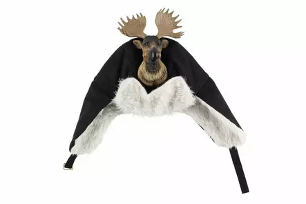 Hirvi talvilakki musta - Retkeilyasusteet - 6410416211367 - 2