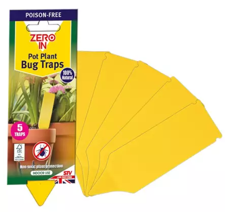 Liima-ansa kukkaruukkuun - Kärpästen torjunta - 5036200340177 - 2