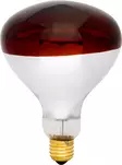 Lämpölamppu Farma 150W punainen - Karjanhoitotarvikkeet - 8719493512267 - 2