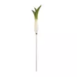 Wildlife Garden cake tester Purjo - Luontoaiheiset tuotteet - WG5007 - 2
