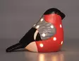 Punatulkku LED-valoilla suoraan katsova - Joulukoristeet - 6410416570907 - 2