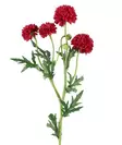 Pallokrysanteemi 61 cm tummanpunainen - Askartelutarvikkeet - 6410416575377 - 1