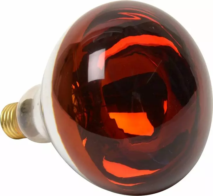 Lämpölamppu Farma 150W punainen - Karjanhoitotarvikkeet - 8719493512267 - 1