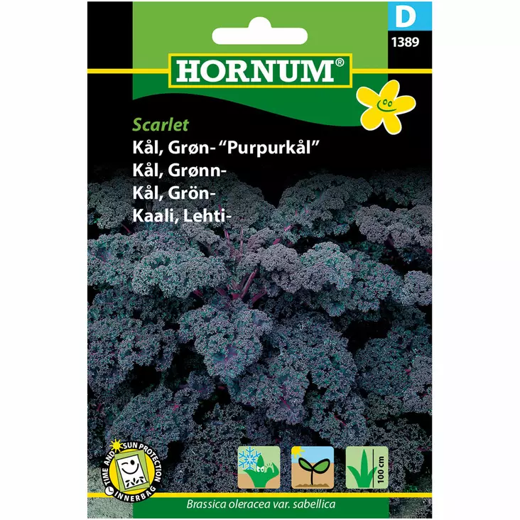 Lehtikaali ´Scarlet´ - Siemenet ja siemenperunat - 5708787013897 - 1