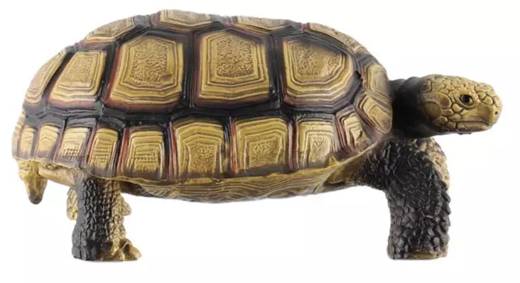 Kilpikonna - Sisälelut - 6410416434797 - 1