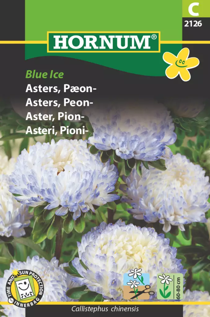 Kiinanasteri ´Blue Ice´ - Siemenet ja siemenperunat - 5708787021267 - 1