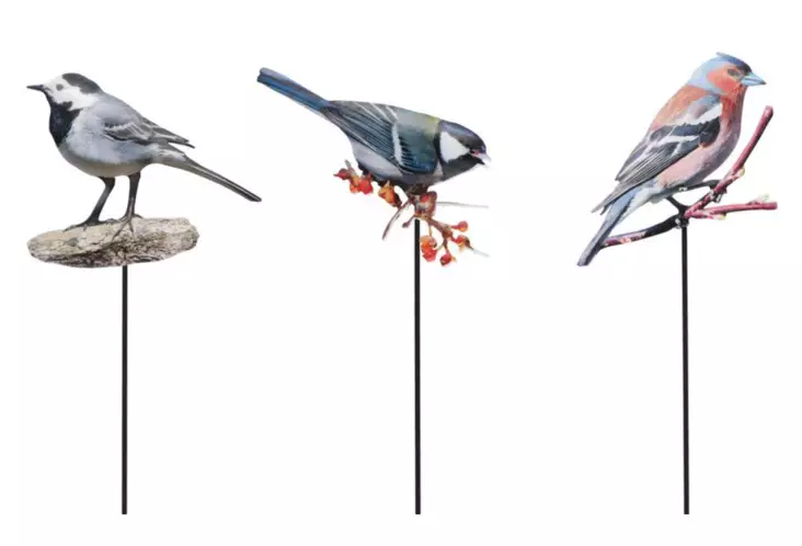 Puutarhakoriste Lintu lajitelma - Puutarhapatsaat, koristeet - 6410416458687 - 1