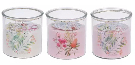 Tuoksukynttilä Botanic Garden lasipurkissa - Tunnelmavalot - 8719987485398 - 1