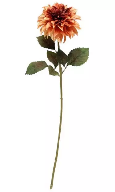 Daalia 74 cm kanelinvärinen - Askartelutarvikkeet - 6410416567778 - 2