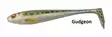 Jigi Duckfin Shad 3,5", eri värejä - Vieheet ja perhot - 4027093344848 - 4