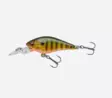 Daiwa PX Baby CB40MR Gold Perch - Vieheet ja perhot - 4027093721458 - 1