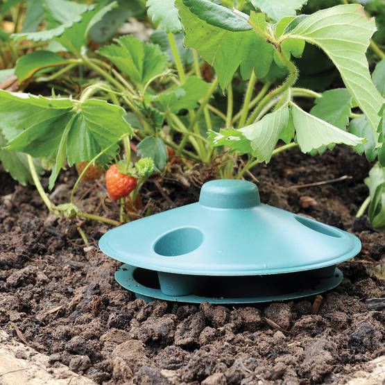 Etana-ansa syötillä 2 kpl/pkt - Muut karkotteet - 5036200120908 - 1