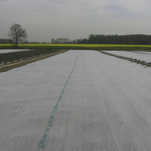 Hallaharso rullissa 6,35x250m - Hallaharsot - 6430040621578 - 2