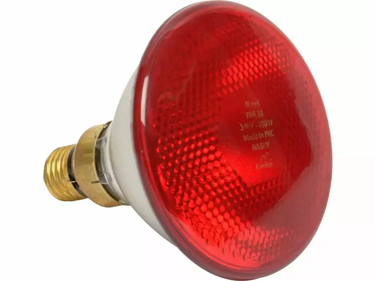 Lämpölamppu 100W punainen puristelasi - Karjanhoitotarvikkeet - 8719493512328 - 1