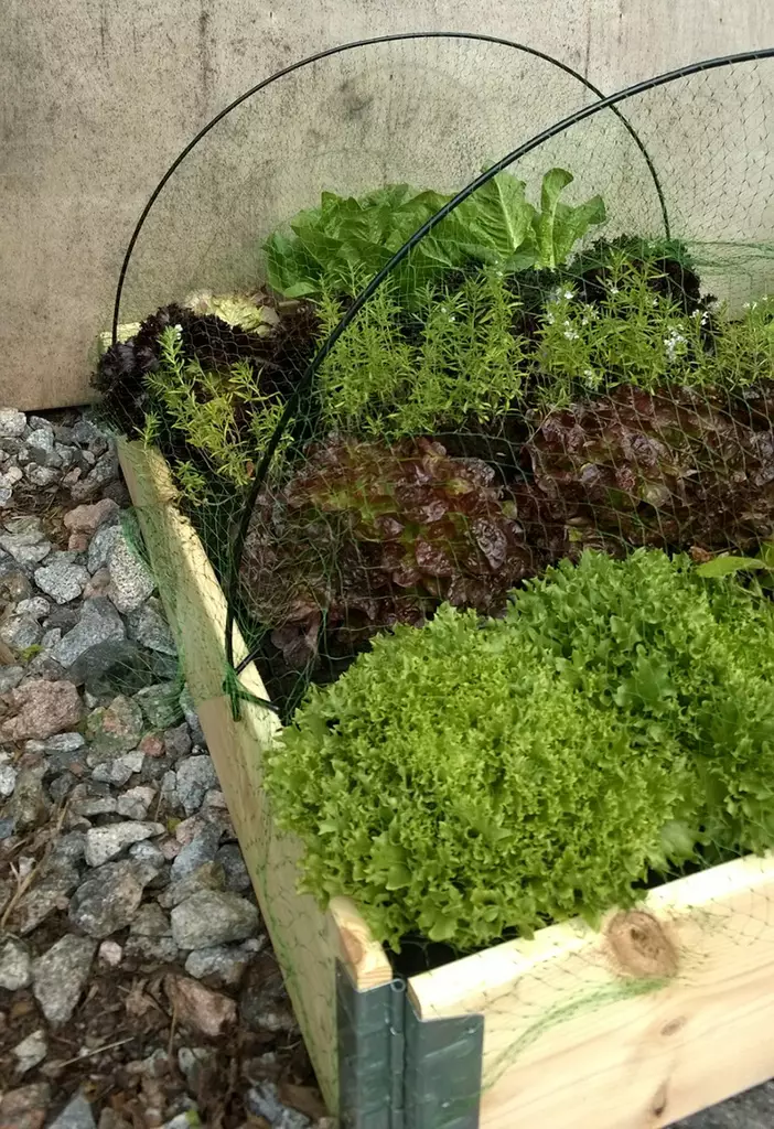 Lavakauluksen metallikaaret - Muut puutarhakankaat - 6430040629338 - 2