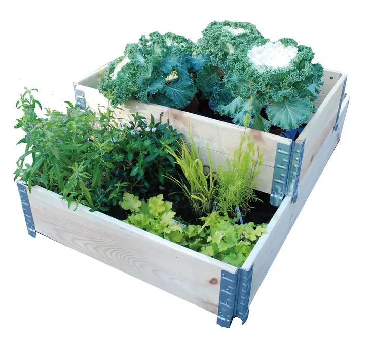 Lavakaulus 80 x 120cm - Kasvihuoneet, lavakaulukset - 6430040626368 - 1