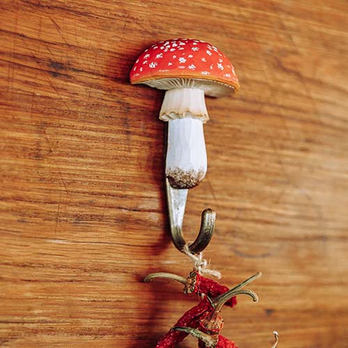 Wildlife Garden seinäkoukku Kärpässieni - Luontoaiheiset tuotteet - WG4558 - 1