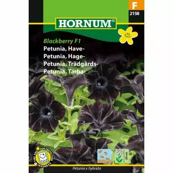 Tarhapetunia ´Blackberry F1´ - Siemenet ja siemenperunat - 5708787021588 - 1