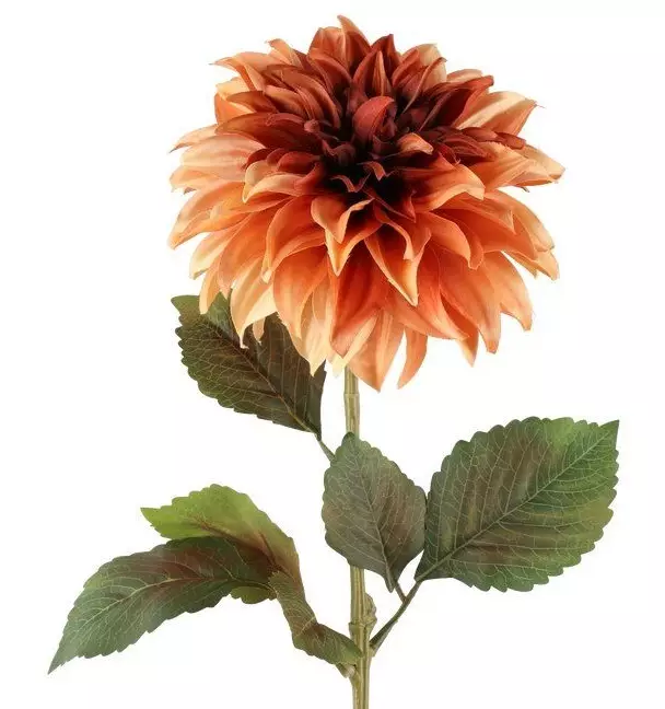 Daalia 74 cm kanelinvärinen - Askartelutarvikkeet - 6410416567778 - 1