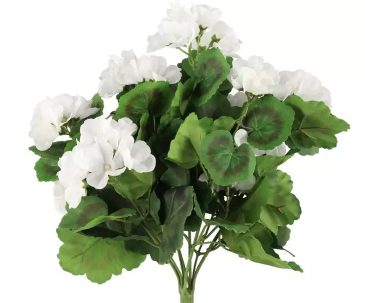 Pelargoni valkoinen 39 cm - Muuta kaunista - 6410416529868 - 1