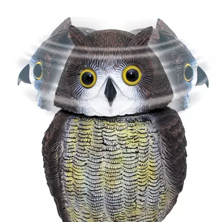 Pöllö 40 cm, kääntyvä pää - Lintujen torjunta - 5036200129659 - 1